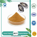 Supply Oyster Meat Extract Powder 98% Oyster Peptide